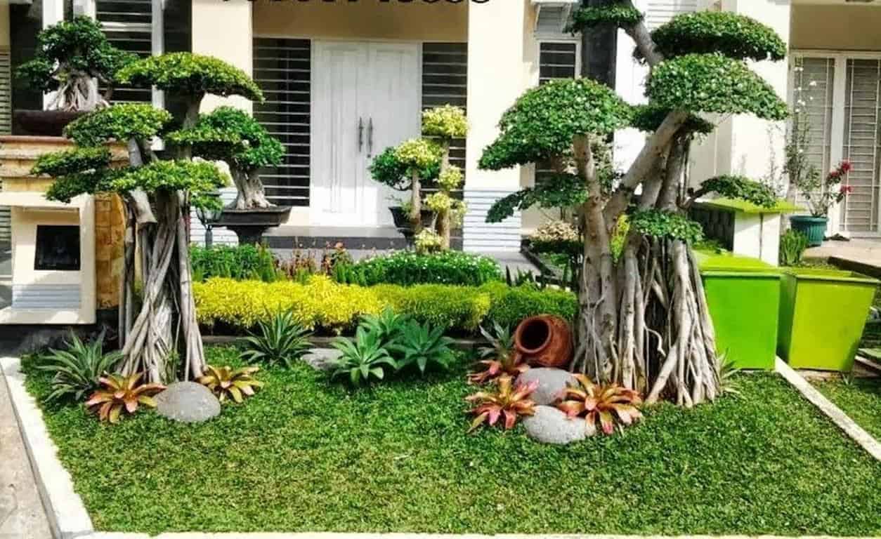 Temukan Jasa Taman Profesional di Bekasi: Transformasi Halaman Rumah Anda